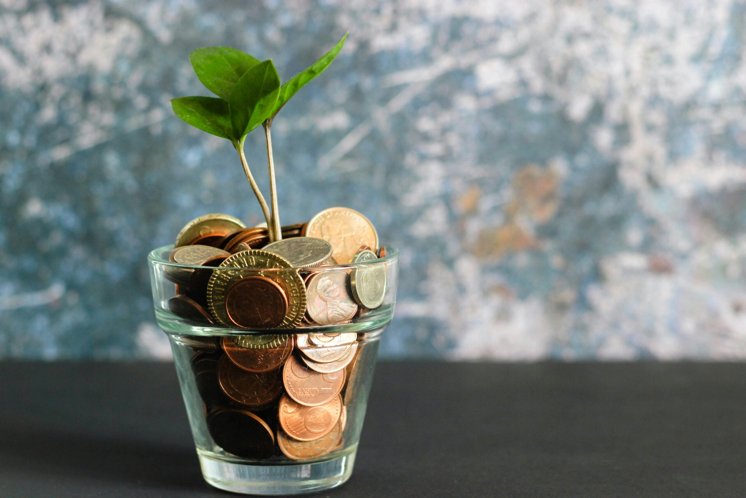 Financial Empowerment — Board Member