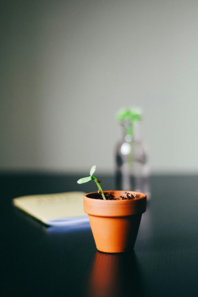 Personal Growth